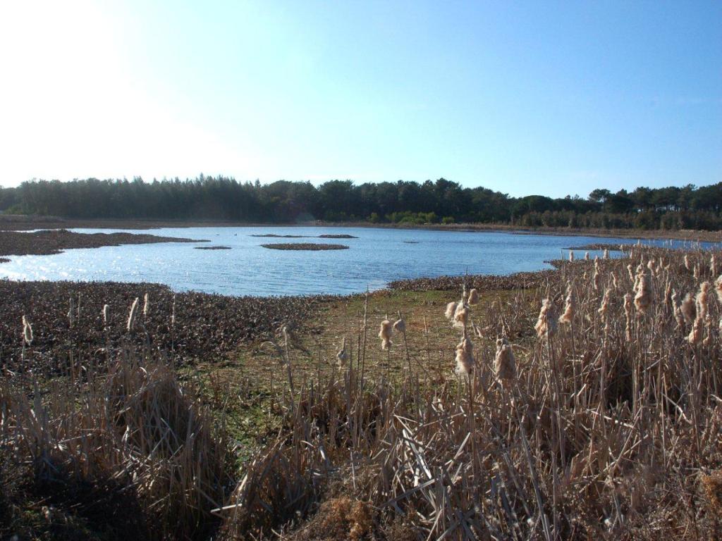 Lagoa da Salgueira